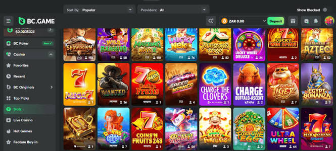 Exploring the World of BC.Game Online Casino A Guide to an Exciting Gaming Experience